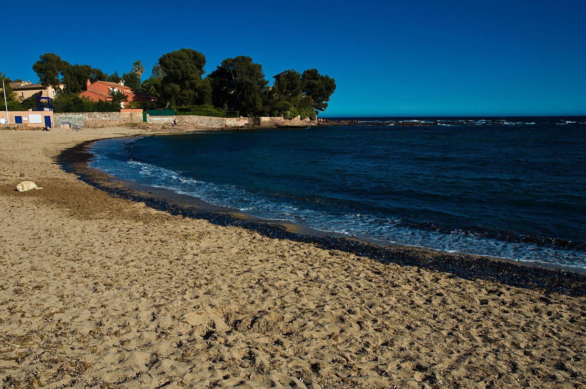 Hotel Et Studios Les Amandiers Saint-Raphaël Eksteriør billede